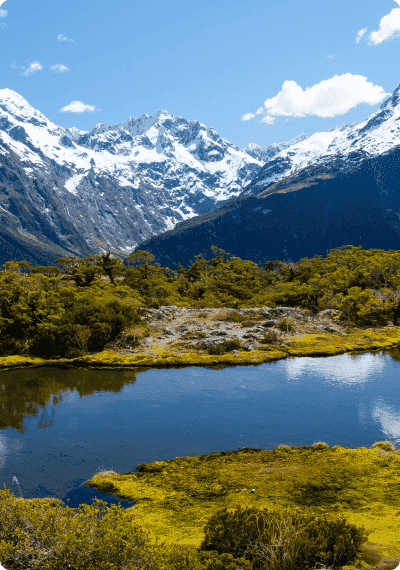 New Zealand Tour Packages